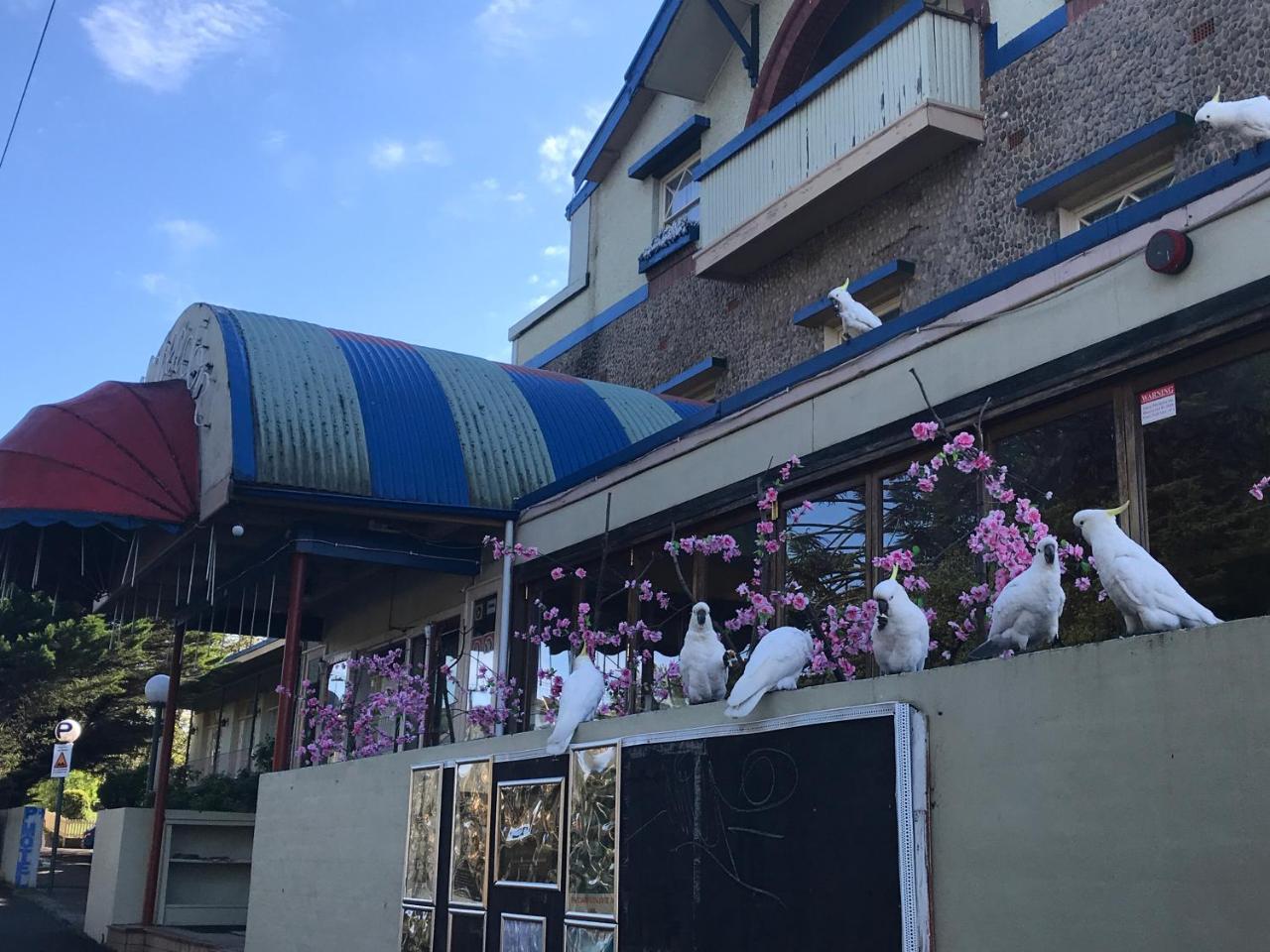 The Clarendon Motel Katoomba Kültér fotó